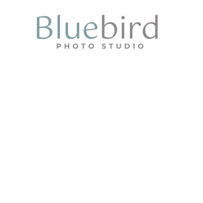 Bluebird photo studio logo
