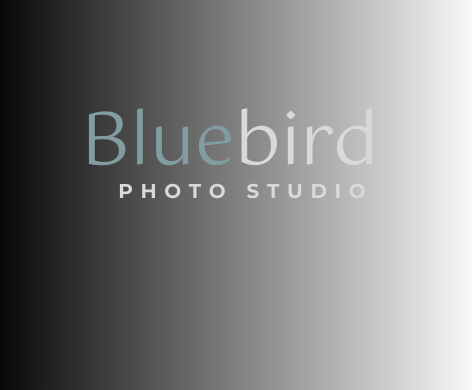 Bluebird Photo Studio Home Page click below